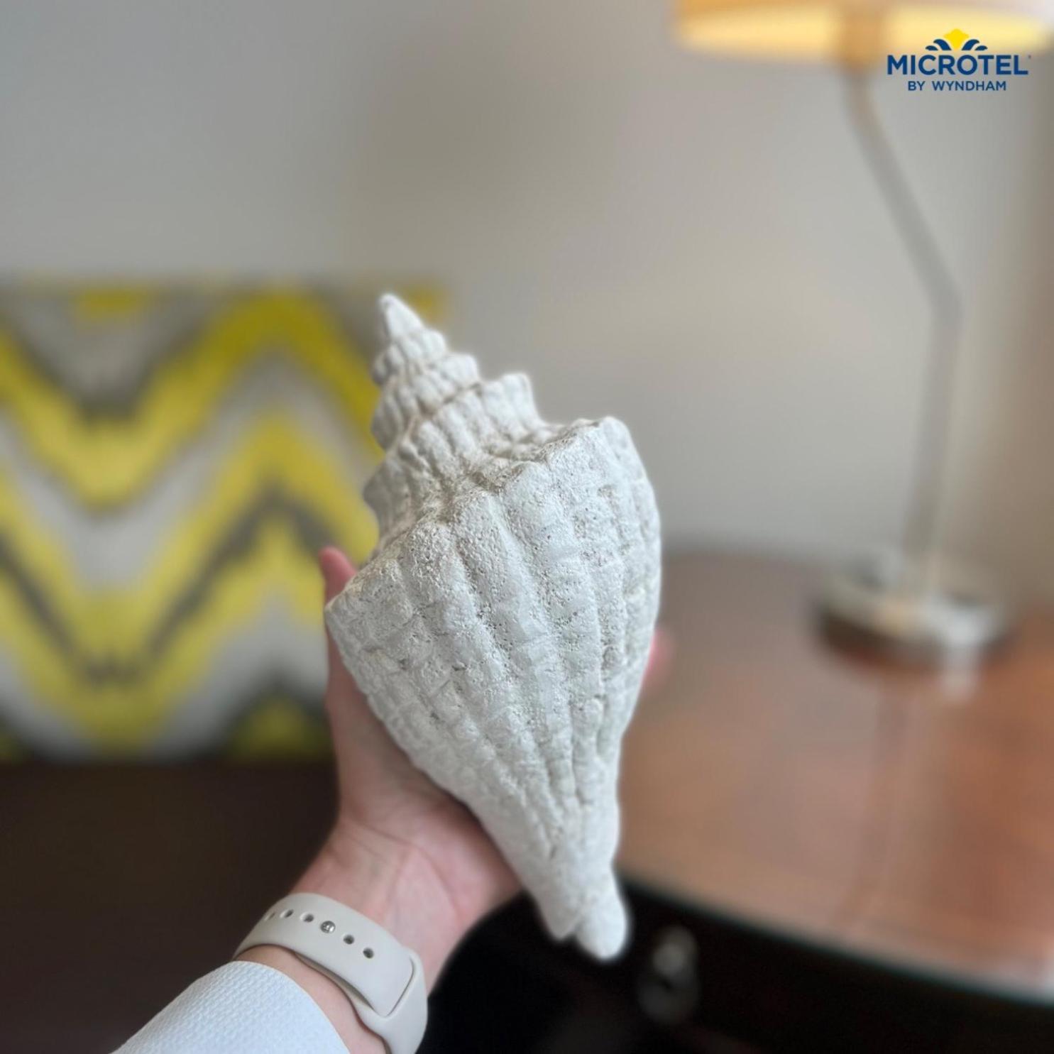 Microtel Inn & Suites By Wyndham Corpus Christi/Aransas Pass Ngoại thất bức ảnh